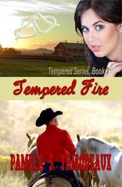Tempered Fire - Tempered Series, #3