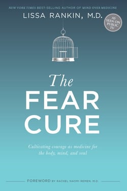 The Fear Cure - Cultivating Courage as Medicine for the Body, Mind, and Soul