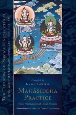 Mahasiddha Practice - From Mitrayogin and Other Masters, Volume 16 (The Treasury of Precious Instructions)