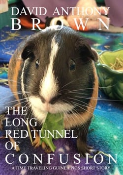 The Long Red Tunnel of Confusion: A Time Traveling Guinea Pigs Short Story - The Time Traveling Guinea Pigs, #3
