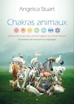 Chakras animaux - Découvrez ce qui vous unit à la sagesse du monde naturel