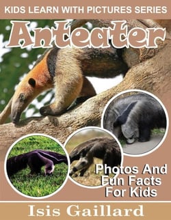 Anteater Photos and Fun Facts for Kids - Kids Learn With Pictures, #91