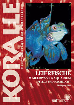 Leierfische im Meerwasseraquarium - Pflege und Nachzucht