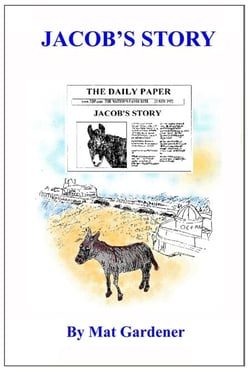 Jacob's Story - Tales of Triumph