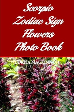 Scorpio Zodiac Sign Flowers Photo Book - Zodiac Sign Flowers Photo books for Individual ZodiacSigns, #12