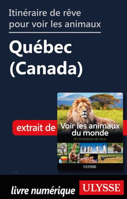 Itinéraire de rêve pour voir les animaux - Québec (Canada)