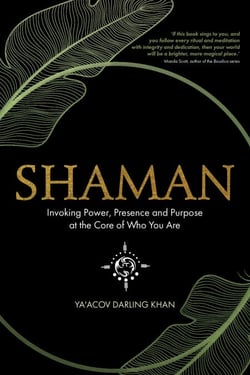 Shaman - Invoking Power, Presence and Purpose at the Core of Who You Are