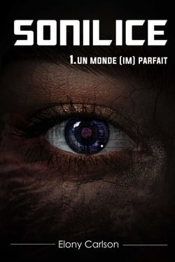 Sonilice - 1. Un monde (im)parfait
