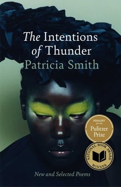 The Intentions of Thunder - New and Selected Poems