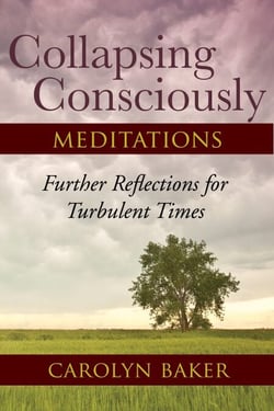 Collapsing Consciously Meditations - Further Reflections for Turbulent Times