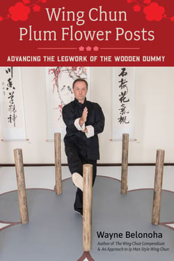 Wing Chun Plum Flower Posts - Advancing the Legwork of the Wooden Dummy