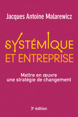 Systémique et entreprise - Mettre en oeuvre une stratégie de changement