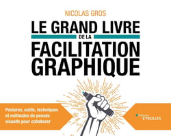 Le grand livre de la facilitation graphique - Postures, outils, techniques et méthodes de pensée visuelle pour collaborer