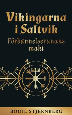 Vikingarna i Saltvik - Förbannelserunans makt
