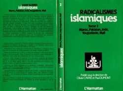 Radicalismes islamiques - Maroc, Pakistan, Inde, Yougoslavie, Mali - Tome 2