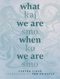What We Are When We Are - Kaj smo, ko sm