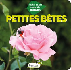 Cache-cache dans la nature : petites bêtes