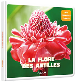 Mes premières plantes : la flore des Antilles