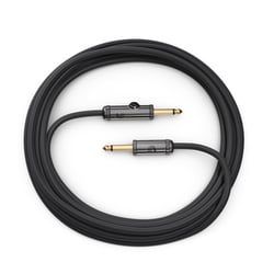 Planet Waves - Câble Jack-Jack avec inter mute 3m