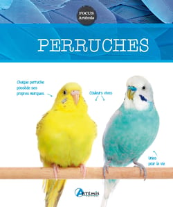 Perruches
