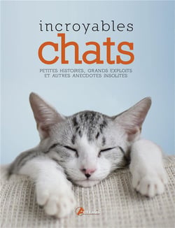 Incroyables chats