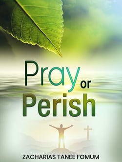 Pray or Perish - Prayer Power Series, #27