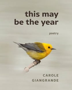 This May Be The Year