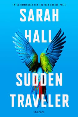 Sudden Traveler - Stories