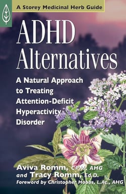 ADHD Alternatives - A Natural Approach to Treating Attention Deficit Hyperactivity Disorder