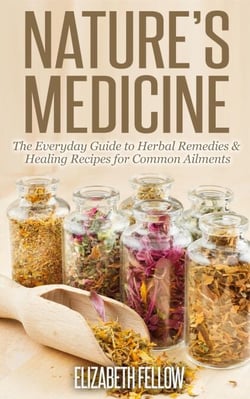 Nature’s Medicine: The Everyday Guide to Herbal Remedies &amp; Healing Recipes for Common Ailments - Natural Cures &amp; Herbal Remedies From Your Own Kitchen