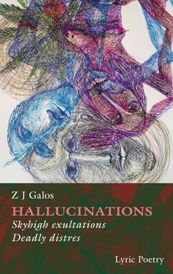 Hallucinations - Skyhigh exltations, Deadly distress