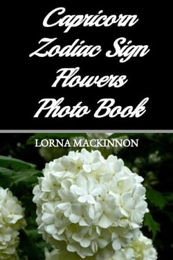 Capricorn Zodiac Sign Flowers Photo Book - Zodiac Sign Flowers Photo books for Individual ZodiacSigns, #4