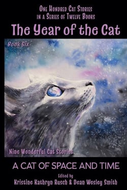 The Year of the Cat: A Cat of Space and Time - The Year of the Cat, #6