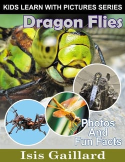Dragon Flies Photos and Fun Facts for Kids - Kids Learn With Pictures, #134