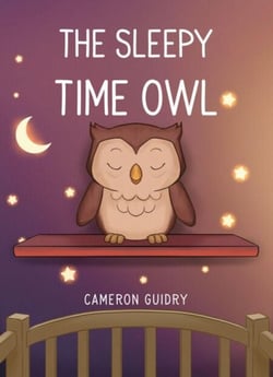 The Sleepy Time Owl