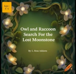 Owl and Raccoon Search for the lost Moonstone