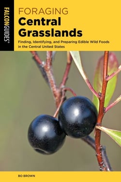 Foraging Central Grasslands - Finding, Identifying, and Preparing Edible Wild Foods in the Central United States