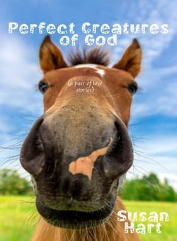 Perfect Creatures of God (a pair of love stories)