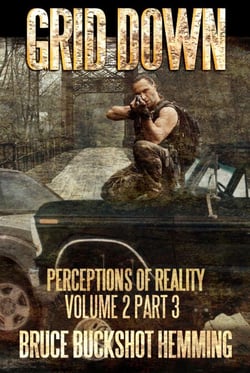 Grid Down Perceptions of Reality - part 3, #2