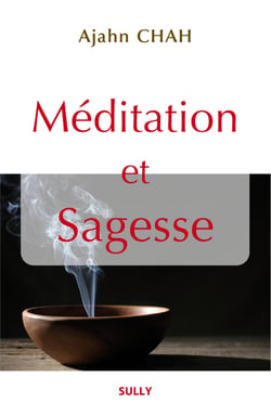Méditation et sagesse - Les enseignements d'un maître bouddhiste de la Tradition de la Forêt Tome 1