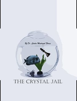 The Crystal Jail