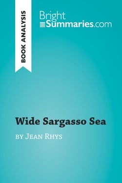 Wide Sargasso Sea by Jean Rhys (Book Analysis) - Detailed Summary, Analysis and Reading Guide