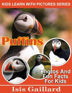 Puffins Photos and Fun Facts for Kids - Kids Learn With Pictures, #109