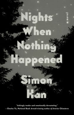 Nights When Nothing Happened - A Novel