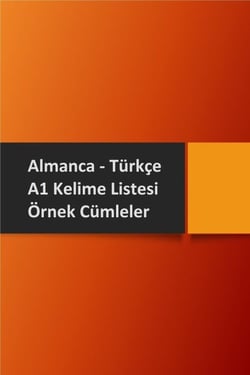 Almanca Turkce A1 Kelime Listesi ve Ornek Cumleler