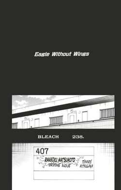 Bleach - T27 - Chapitre 238 - Eagle Without Wings