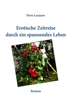 Erotische Zeitreise durch ein spannendes Leben - Roman