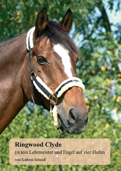 Ringwood Clyde - (m)ein Lehrmeister und Engel auf vier Hufen
