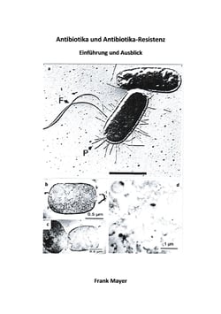 Antibiotika und Antibiotika-Resistenz - Einführung und Ausblick