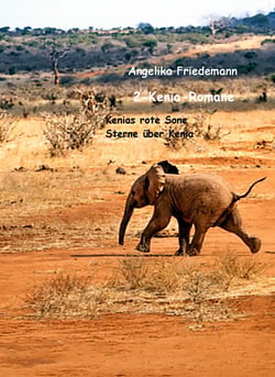 2-Kenia-Romane - Kenias rote Sonne - Sterne über Kenia